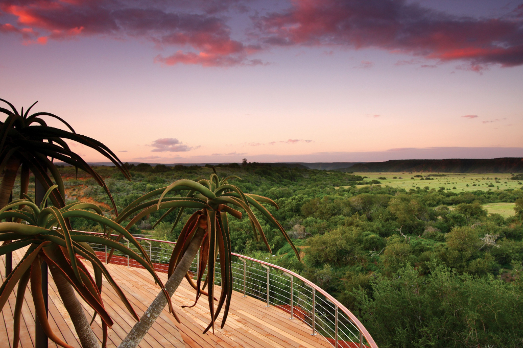 Sarili Lodge - Shamwari Game Reserve - Greater Addo Reservations